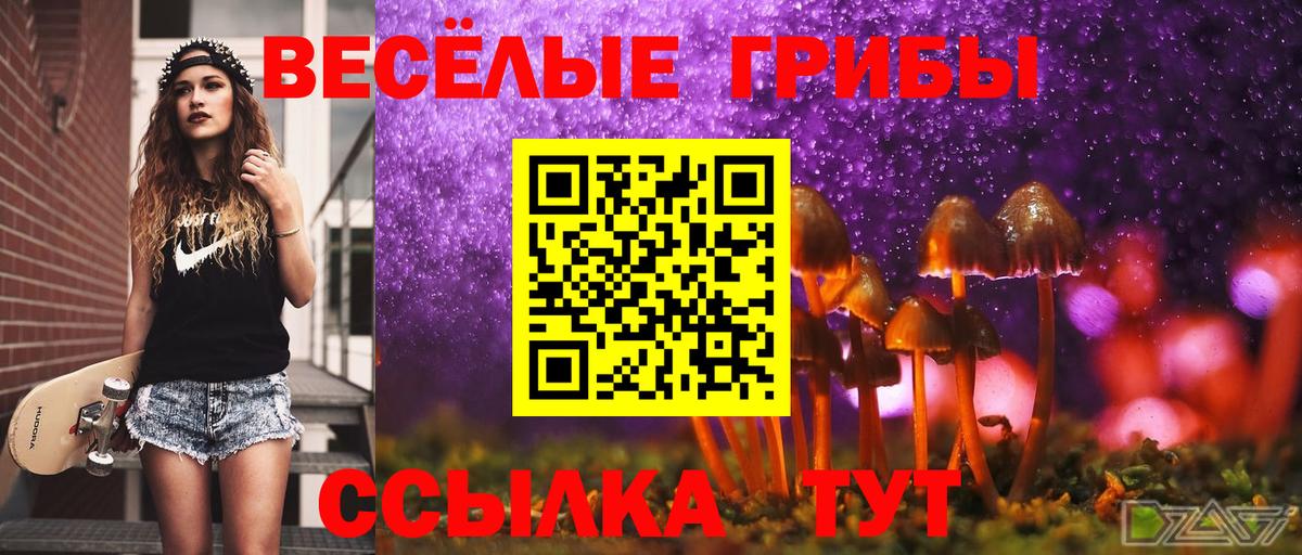 Галлюциногенные грибы MAGIC MUSHROOMS  Вход с VPN  Псилоцибиновые грибы ЛСД  Волхов 