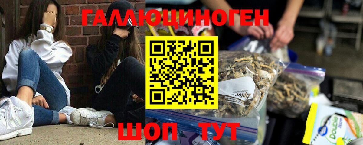 Галлюциногенные грибы мицелий Волхов