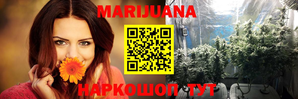 Волхов  Канабис THC 21%  Марихуана SATIVA & INDICA  Вход с VPN  Бошки марихуана THC 21%  Шишки марихуана OG Kush 